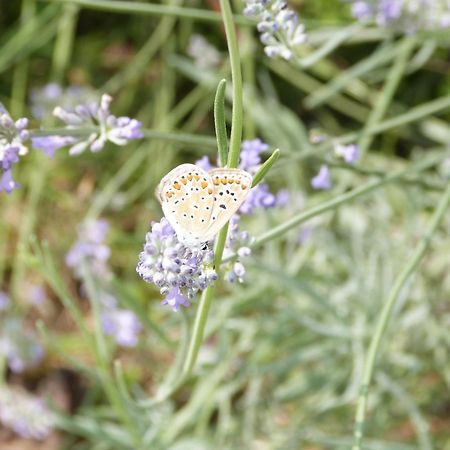 Gite Le Cherche Midi ไกยัก ภายนอก รูปภาพ